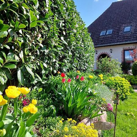 Klosterblick Bad Doberan Exteriér fotografie