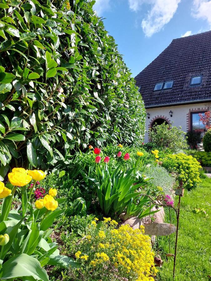 Klosterblick Bad Doberan Exteriér fotografie
