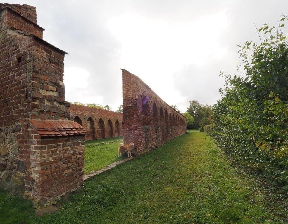 Klosterblick Bad Doberan Exteriér fotografie