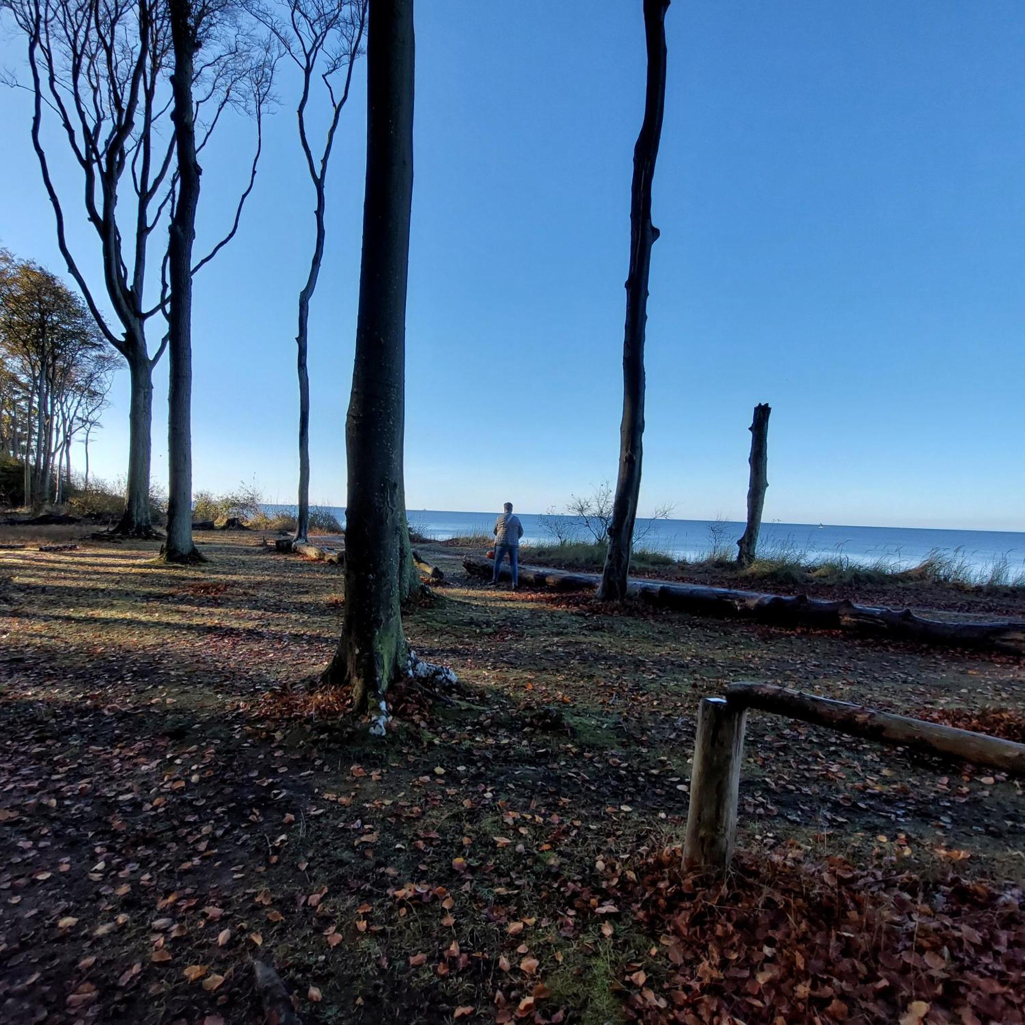 Klosterblick Bad Doberan Exteriér fotografie